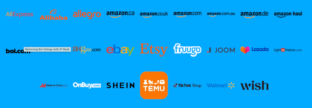 Marketplace Brand Protection in 2025: How to Safeguard Your Business from Counterfeits